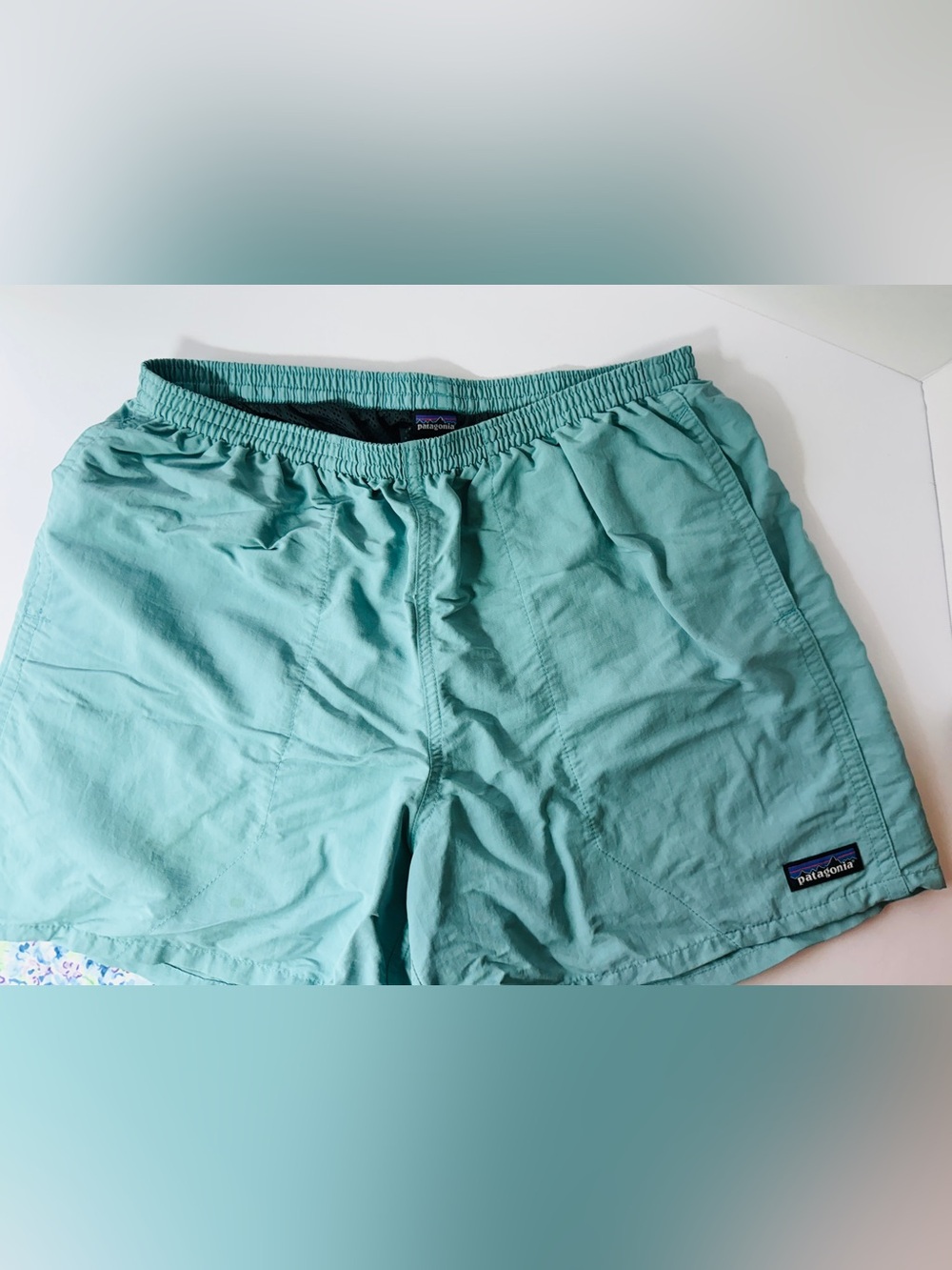 Patagonia Mint Green Men's Swim Trunks